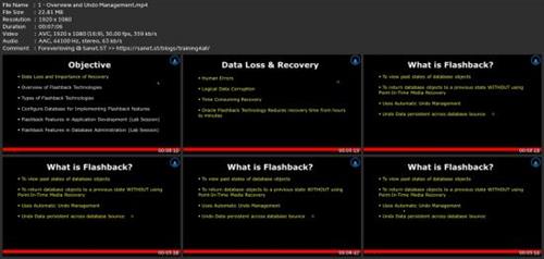 Oracle Flashback Technology: Data Recovery And  Archiving 9dc7ff92b5adff97403ccc4fcaff5c0c