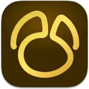 Navicat Premium 17.1.6 macOS