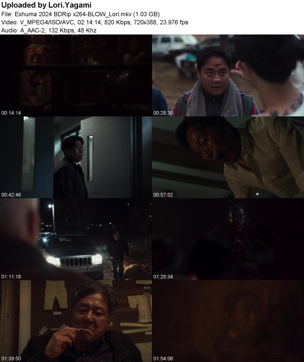 Exhuma (2024) BDRip x264-BLOW