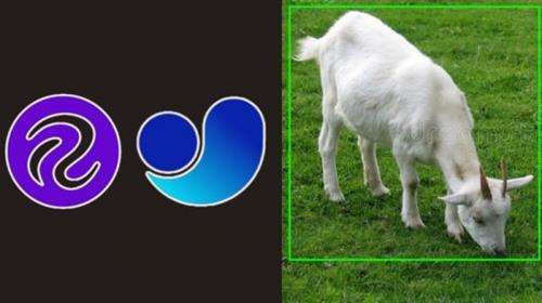 Complete Goat Detection and Counting Using  YOLOv11 54572072a2c8bdaa15f0a4e8dae84a01