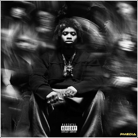 Denzel Curry - KING OF THE MISCHIEVOUS SOUTH (2024) [24Bit-48kHz] FLAC