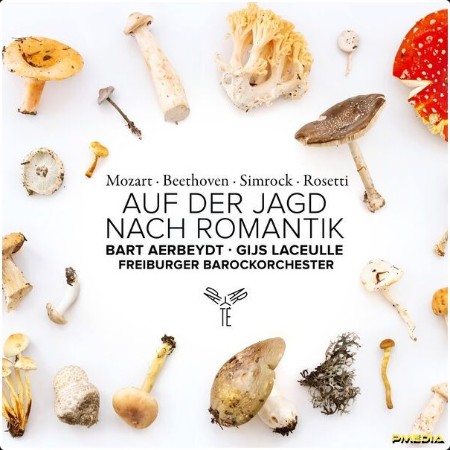 Bart Aerbeydt - Auf der Jagd nach Romantik (2024) [24Bit-96kHz] FLAC