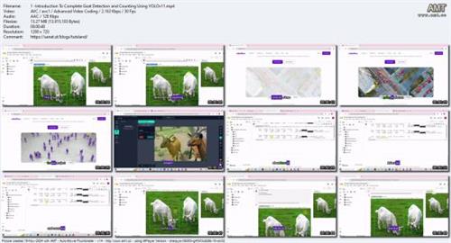 Complete Goat Detection and Counting Using  YOLOv11 68b801901993c5a0ae03a1ffab6322af