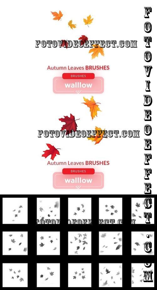 Autumn Fall Leaves Photoshop Brushes - 287443661