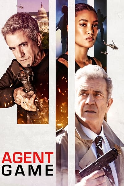 Agent Game 2022 German AC3 BDRip x265-LDO