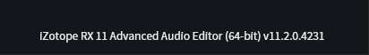 iZotope RX 11 Audio Editor Advanced 11