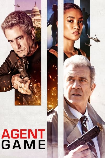 Agent Game 2022 German AC3 BDRip x264-AG