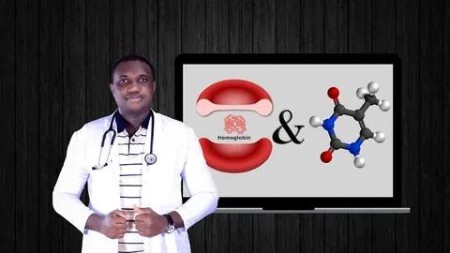 Medical Biochemistry: Metabolism Of Heme & Nucleotides