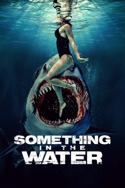 Something in the Water 2024 German DL 1080p BluRay x264-DETAiLS