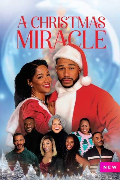 A Christmas Miracle (2024) 1080p WEBRip-LAMA 1249e68cdf97c731c332fbced86a9557