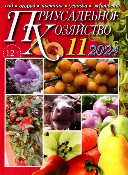 Приусадебное хозяйство №11 (ноябрь 2024) + приложения