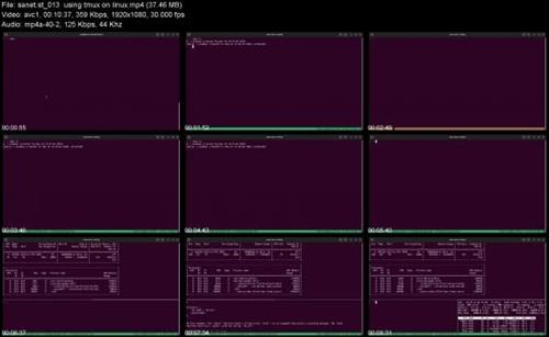 Orchestrating  AI E48161a6aa251619643440198f387264