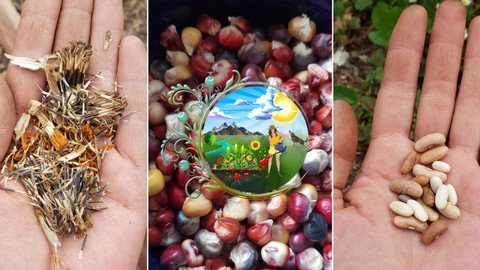 Seed Keepers Course – Starting And Saving Seeds