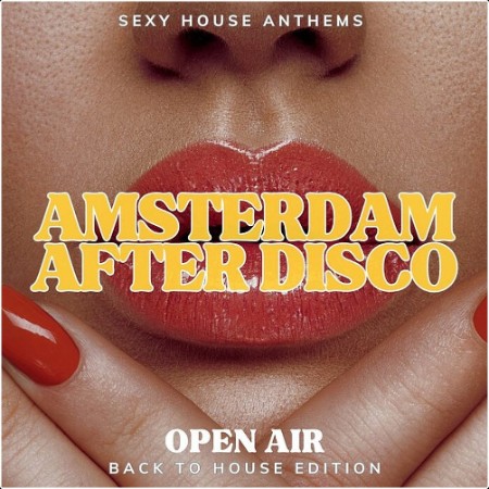 VA - Amsterdam After Disco (2024) Mp3 320kbps