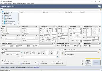 Bulk Rename Utility 4.0.0.3 Commercial