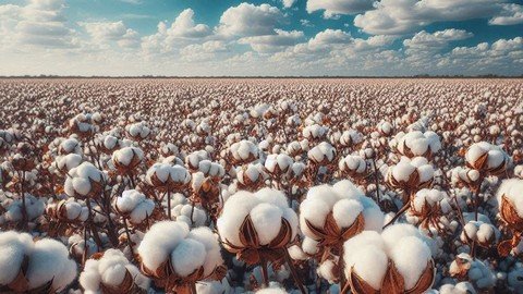 Udemy – Certificate In Home Textiles Manufacturing