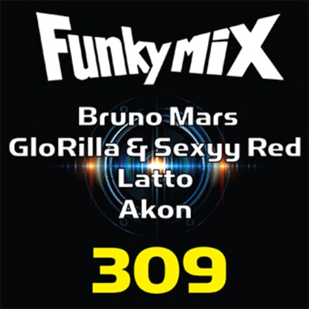 VA - Funkymix 309 2024