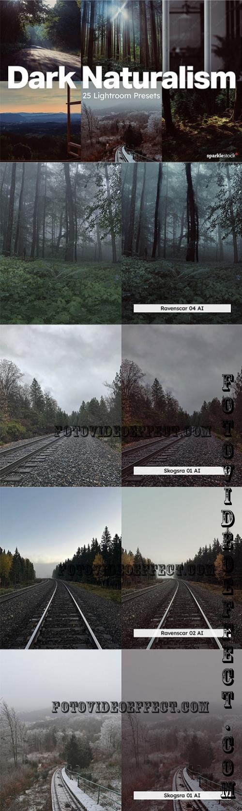 20 Dark Naturalism Lightroom Presets - 288993701