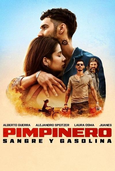 Pimpinero.Blut.und.Benzin.2024.GERMAN.DL.1080P.WEB.H264-WAYNE