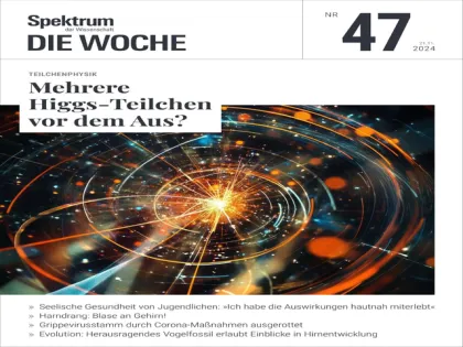 060e6663789a0527e42820113e30f043.webp