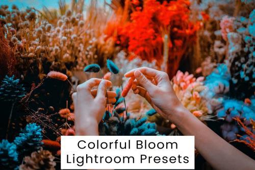 Colorful Bloom Lightroom Presets - KSBCR3Q