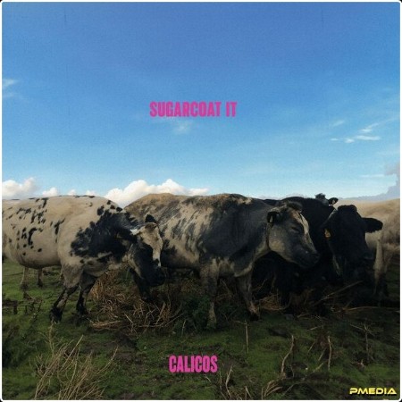 Calicos - Sugarcoat It (2024) [24Bit-44 1kHz] FLAC