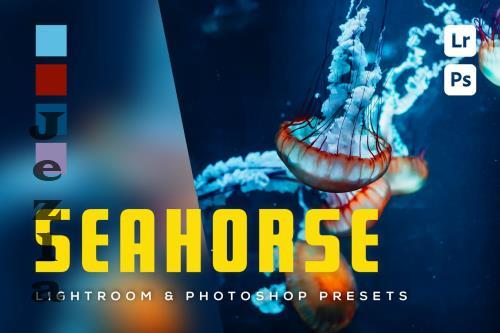 6 Seahorse Lightroom and Photoshop Presets - MV5WW5C