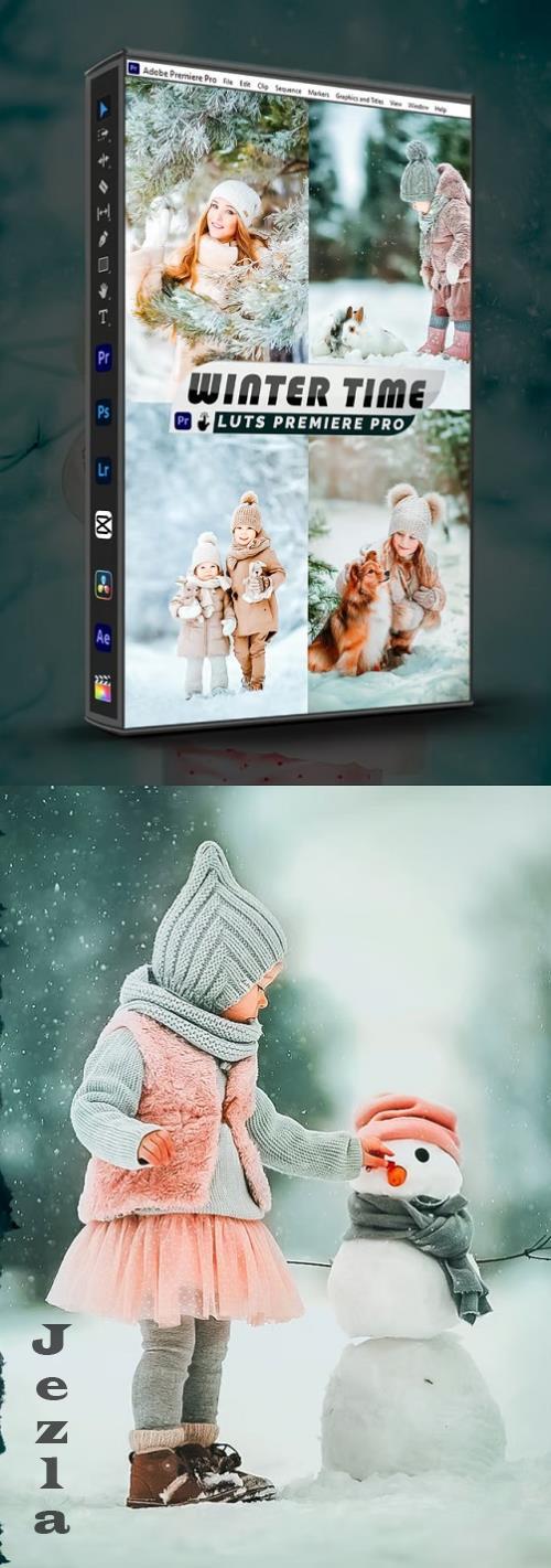 Winter Time Presets And luts Video Premiere Pro - 47754TX