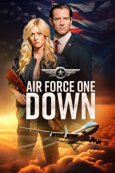 Air Force One Down (2024) MULTI 1080p WEB X264-HiggsBoson 249516f2a494e7cd75edd79411490158