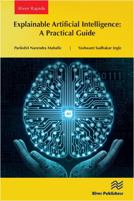 Nyamawe A  Practical Machine Learning  A Beginner's Guide   2024