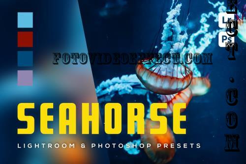 6 Seahorse Lightroom and Photoshop Presets - MV5WW5C