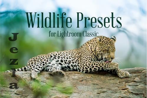 Wildlife Presets for Lightroom Classic - ULZ3J96