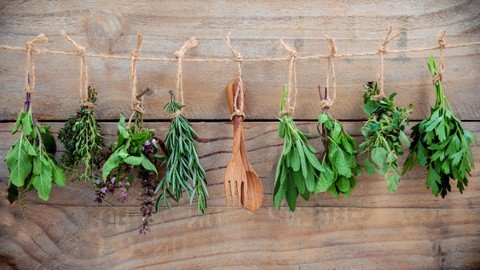 Udemy – Kitchen Herbalism