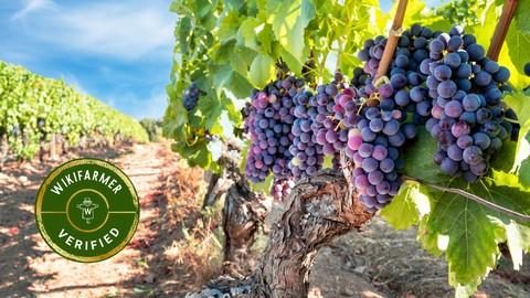 Mastering Sustainable Viticulture And Winemaking