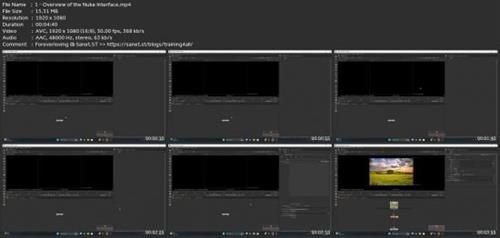 Nuke Essentials : A Beginner's Guide To VFX  Compositing 4d793f53145299e2eaa9855f4b02d2dd