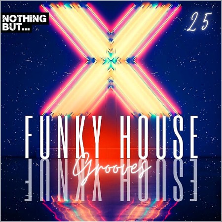 VA - Nothing But    Funky House Grooves Vol  25 (2024) Mp3 320kbps