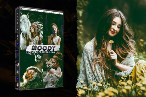 Moody Portrait Lightroom Presets & luts Premiere  - LBU7CA3