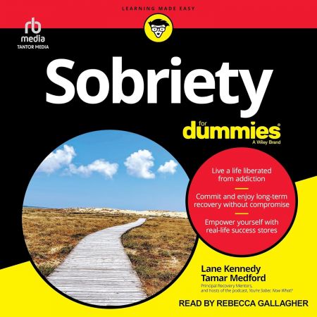 Sobriety for Dummies [Audiobook]