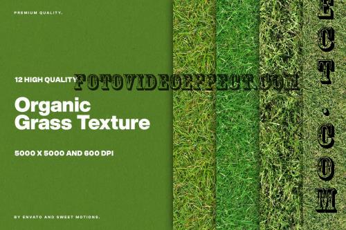 12 Organic Grass Textures - W2ZRN6B