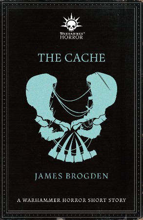 Decrypting the Cache, the Geocaching Mysteries, Volume1 - Jennifer Kirsch