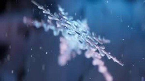 Udemy – Snowflake – A Guide For Learning Fast