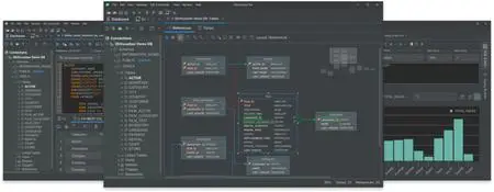 DbVisualizer Pro 24.2.4 (x64)