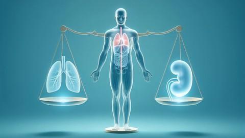 Udemy – All About Human Body PH Regulation