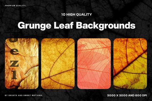 Grunge Leaf Background - N4RBFGN