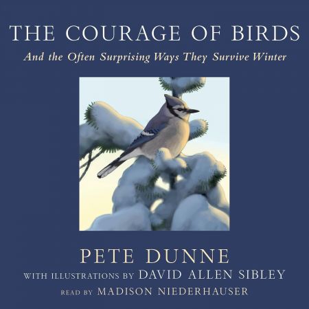 The Courage of Birds: And the Often Surprising Ways They Survive Winter [Audiobook]