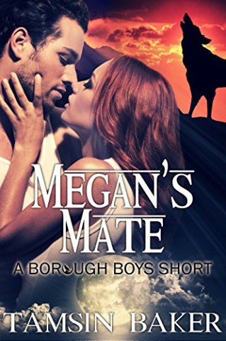 Cover: Tamsin Baker - Megans Mate
