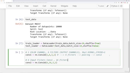 Deep Learning with PyTorch for Medical Image Analysis