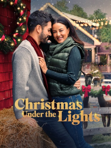 Christmas Under The Lights (2024) 1080p WEBRip DD5 1 x264-GalaxyRG