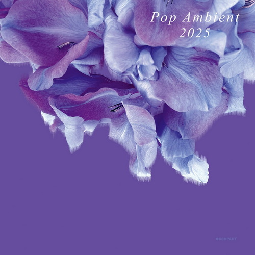 Pop Ambient 2025 (2024) FLAC