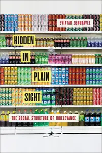 Hidden in Plain Sight The Social Structure of Irrelevance